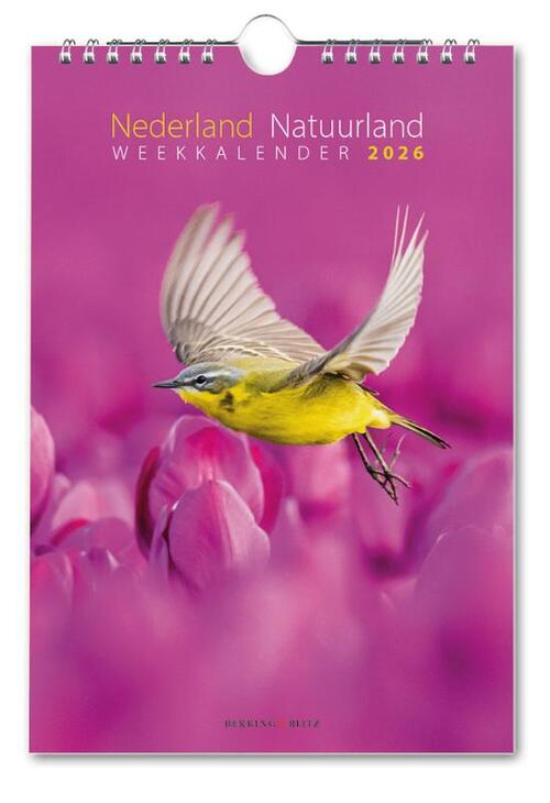 Liefde is... weekkalender 2026, Liefde Is. | Spiraalgebonden Liefde is... weekkalender 2026, Liefde Is. | Spiraalgebonden
