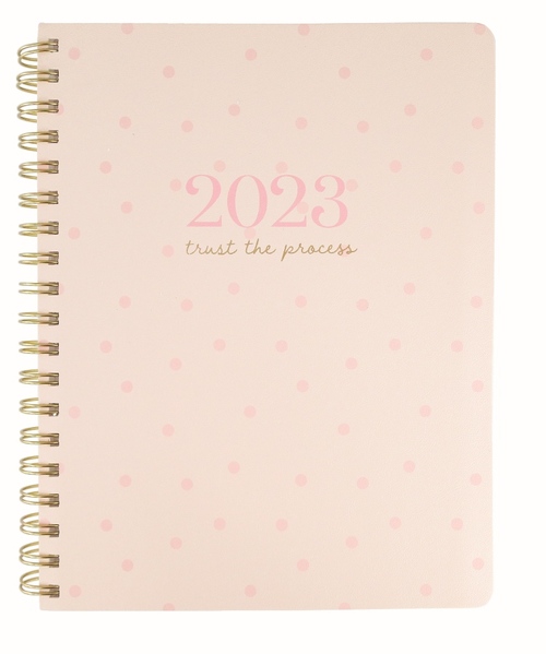 Agenda 2023 Pink Polka Dot 18 maanden Overig 9781664810082 Bruna