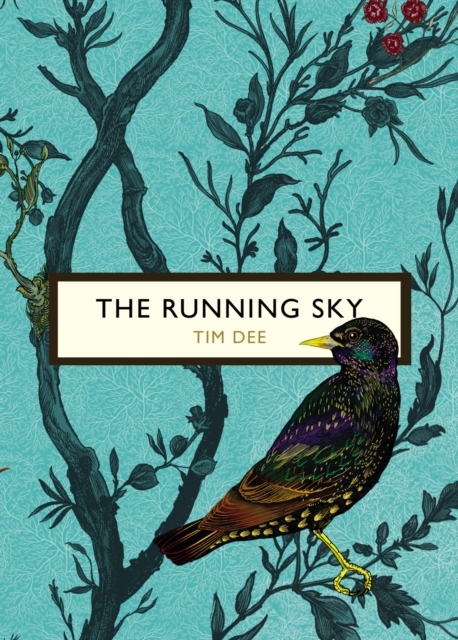 The Running Sky (The Birds and the Bees)