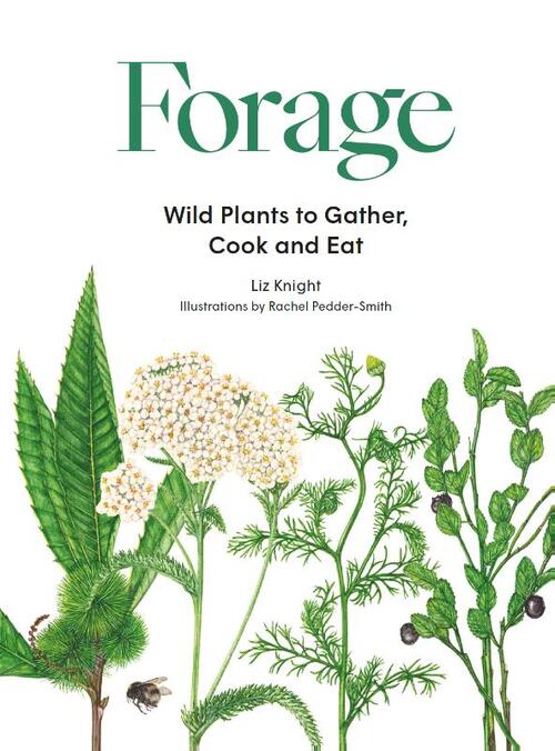 Forage, Liz Knight | Boek | 9781786277350