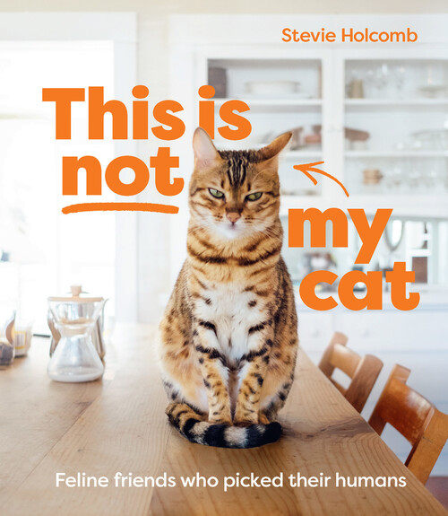 This Is Not My Cat Stevie Holcomb Boek 9781922754035 Bruna