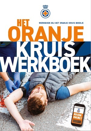 Oranje Kruis Werkboek druk, Thiememeulenhoff BV | 9789006341256 | Boek - bruna.nl