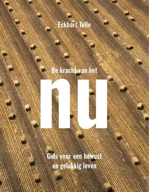 De kracht van het NU eBook 9789020299960 Bruna