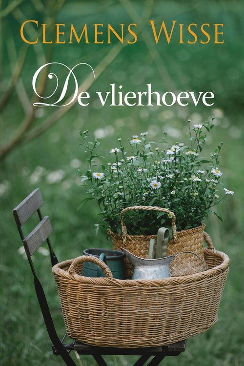 De Vlierhoeve -  Clemens Wisse (ISBN: 9789020546262)