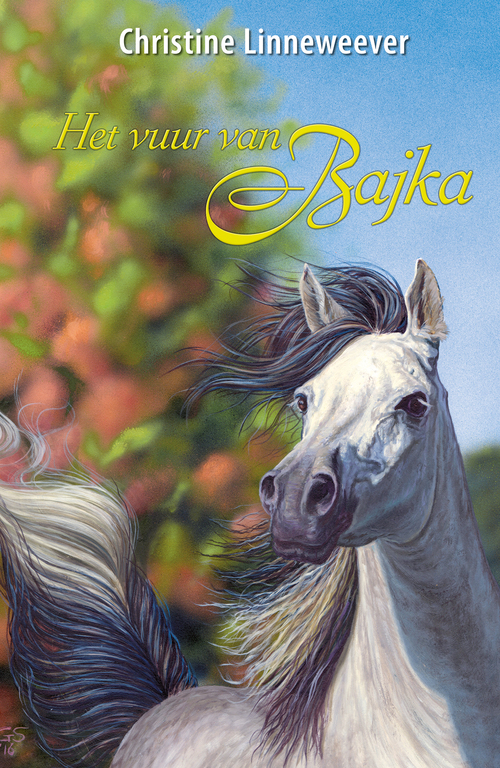 Het vuur van Bajka -  Christine Linneweever, George Schriemer (ISBN: 9789020635621)