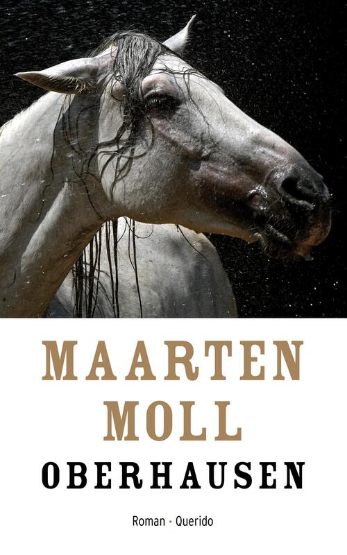Oberhausen -  Maarten Moll (ISBN: 9789021400310)