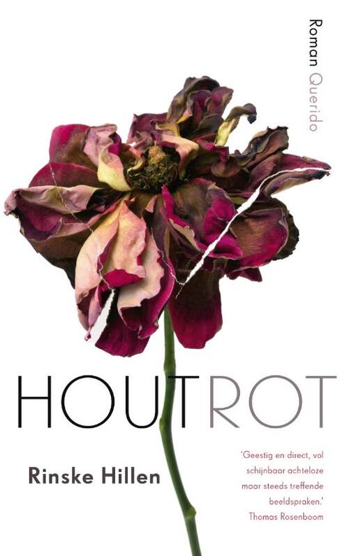 Houtrot -  Rinske Hillen (ISBN: 9789021407722)