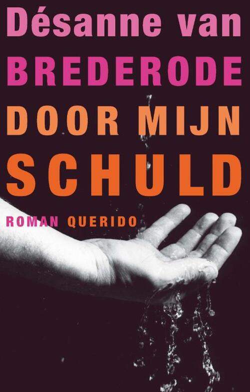Door mijn schuld -  Désanne van Brederode (ISBN: 9789021438337)