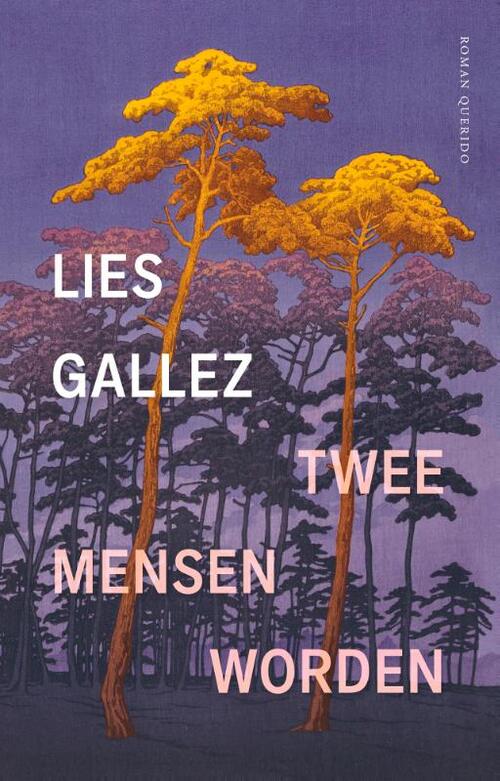 Twee mensen worden -  Lies Gallez (ISBN: 9789021440880)
