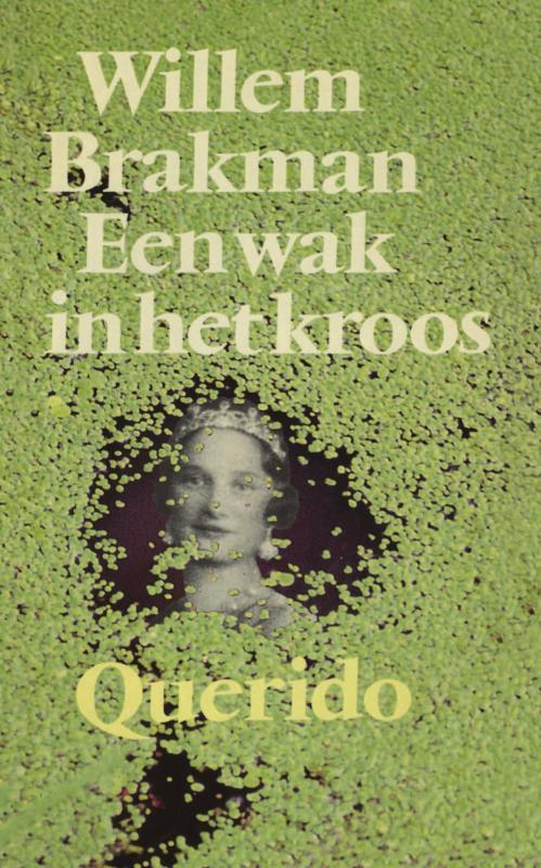 Een wak in het kroos -  Willem Brakman (ISBN: 9789021444123)