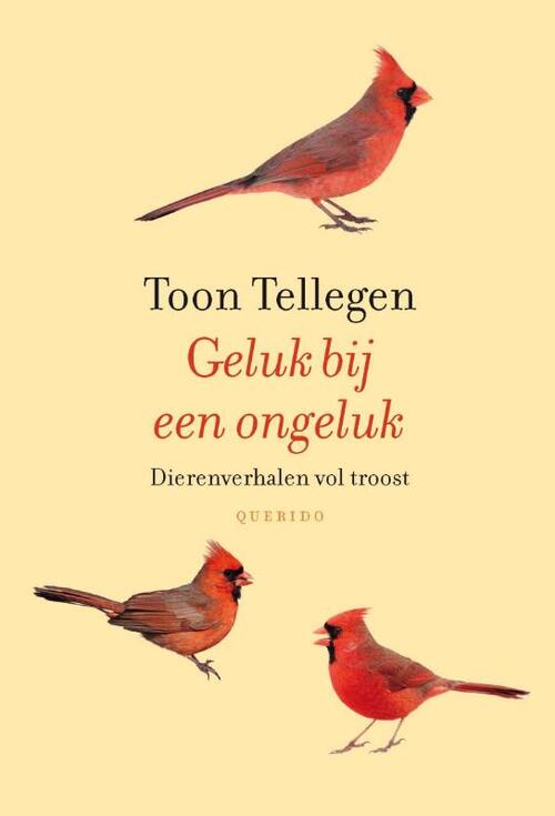 Geluk bij een ongeluk -  Toon Tellegen (ISBN: 9789021455259)