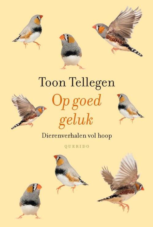Op goed geluk -  Toon Tellegen (ISBN: 9789021455273)