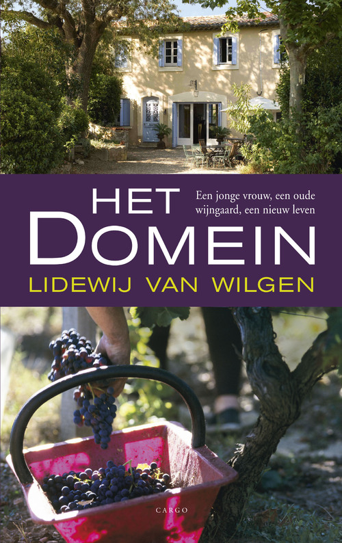 Het domein -  Lidewij van Wilgen (ISBN: 9789023449829)