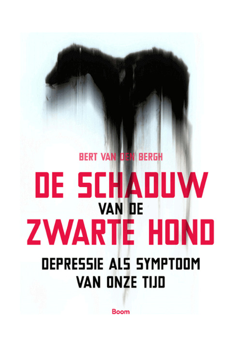De schaduw van de zwarte hond -  Bert van den Bergh (ISBN: 9789024423972)
