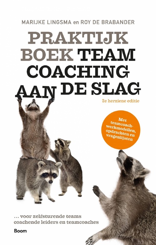 Praktijkboek teamcoaching, aan de slag - Marijke Lingsma, Roy de Brabander (ISBN: 9789024425723)
