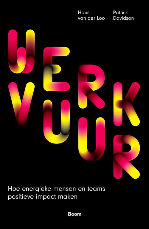 Werkvuur -  Hans van der Loo, Patrick Davidson (ISBN: 9789024427345)