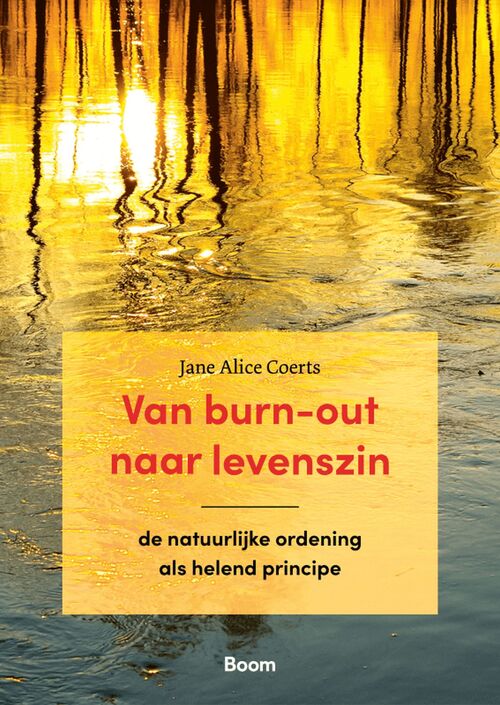 Van burn-out naar levenszin -  Jane Alice Coerts (ISBN: 9789024444502)