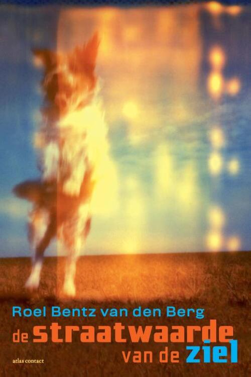 De straatwaarde van de ziel -  Roel Bentz van den Berg (ISBN: 9789025459857)