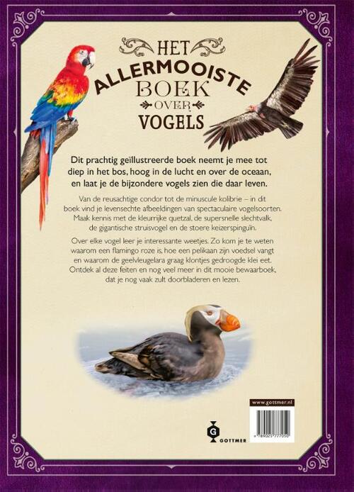 Het allermooiste boek over vogels