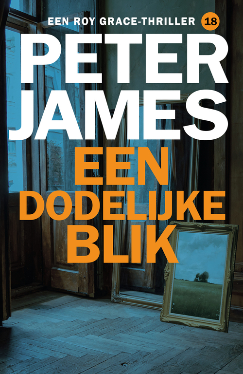 Een dodelijke blik -  Peter James (ISBN: 9789026176180)