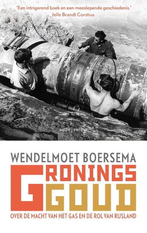 Gronings goud -  Wendelmoet Boersema (ISBN: 9789026344657)