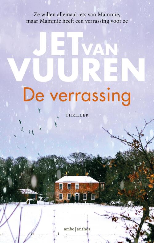 De verrassing -  Jet van Vuuren (ISBN: 9789026357275)