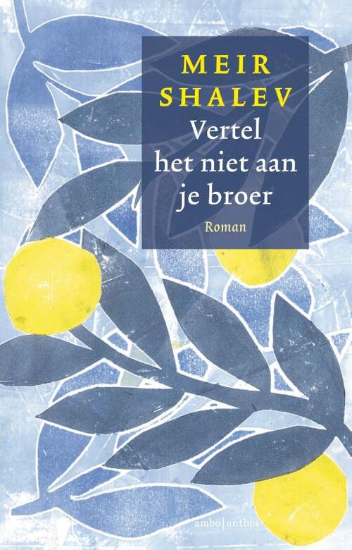 Vertel het niet aan je broer -  Meir Shalev (ISBN: 9789026364808)