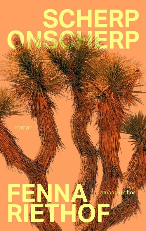 Scherp onscherp -  Fenna Riethof (ISBN: 9789026372117)