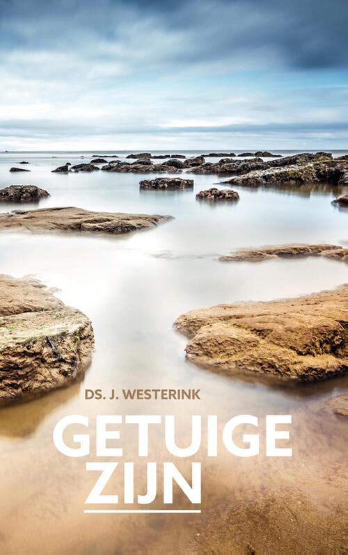 J. Westerink Getuige zijn -   (ISBN: 9789033181481)