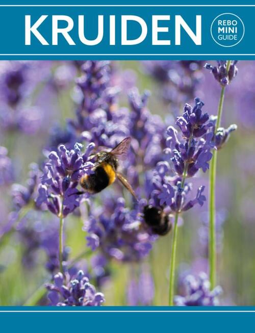 Kruiden - Rebo mini guide -  Hanneke van Dijk (ISBN: 9789036643979)
