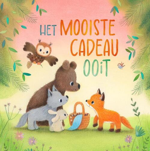 Het mooiste cadeau ooit -  Dubravka Kolanovic (ISBN: 9789036648073)