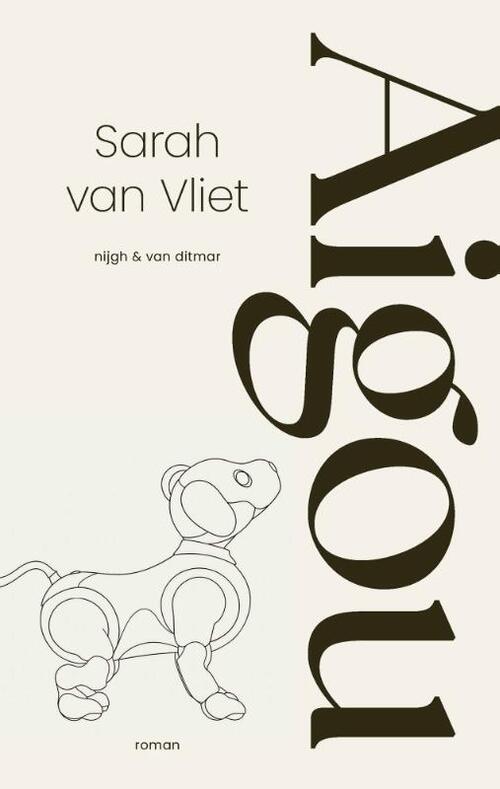 Aigou -  Sarah van Vliet (ISBN: 9789038817255)