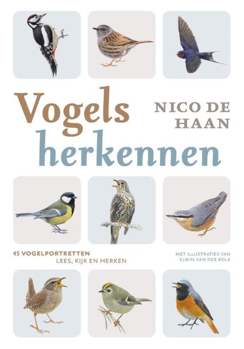Vogels herkennen -  Elwin van der Kolk, Nico de Haan (ISBN: 9789043943000)