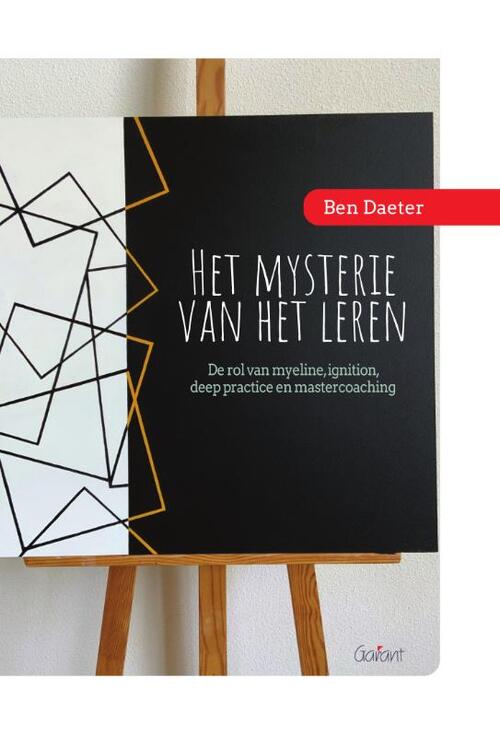 Het mysterie van het leren -  Ben Daeter (ISBN: 9789044138597)