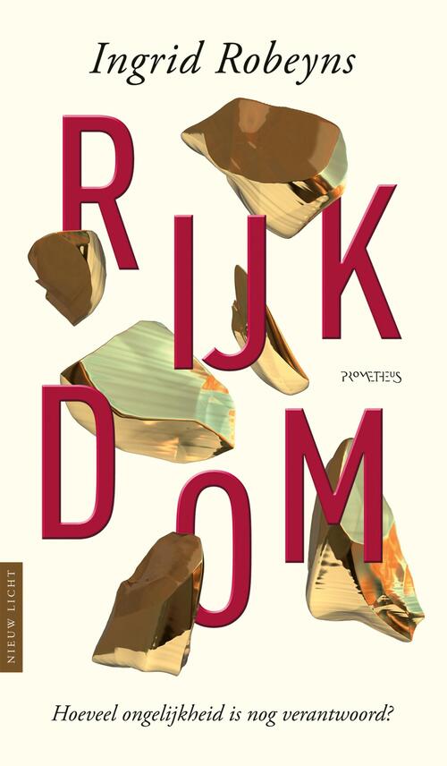 Rijkdom -  Ingrid Robeyns (ISBN: 9789044639766)