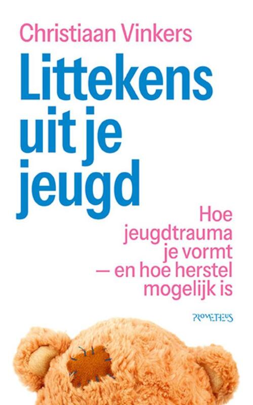 Littekens uit je jeugd -  Christiaan Vinkers (ISBN: 9789044659023)