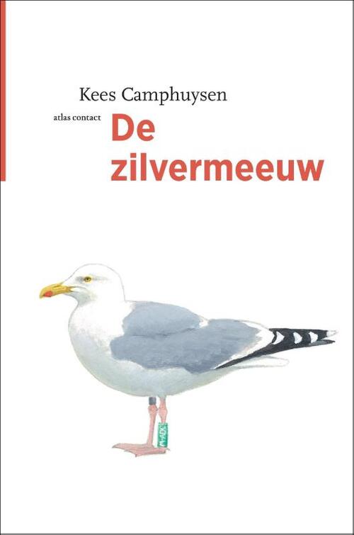 De zilvermeeuw -  Kees Camphuysen (ISBN: 9789045036045)