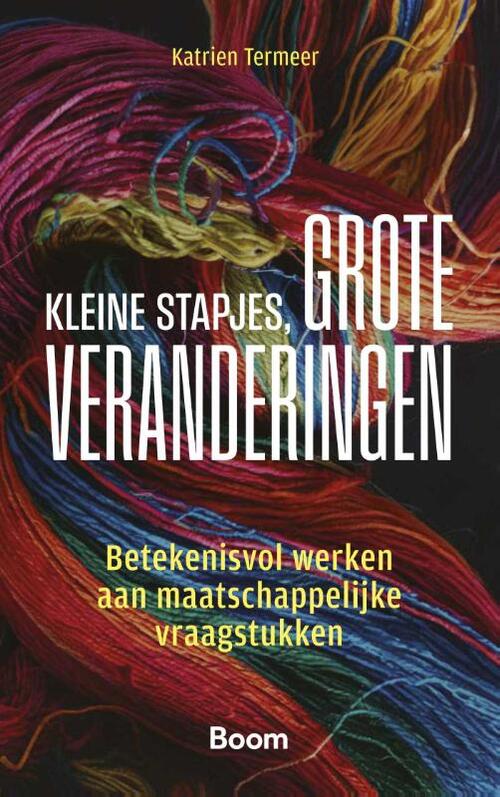 Kleine stapjes, grote veranderingen -  Katrien Termeer (ISBN: 9789047302711)