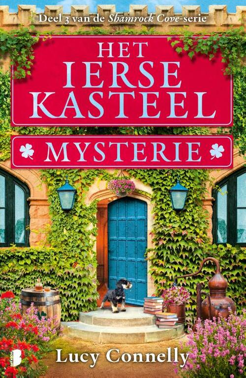 Lucy Connelly Het Ierse kasteelmysterie -   (ISBN: 9789049209568)