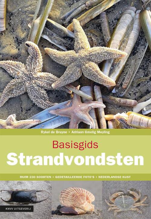 Basisgids Strandvondsten -  Adriaan Gmelig Meyling, Rykel de Bruyne (ISBN: 9789050116855)