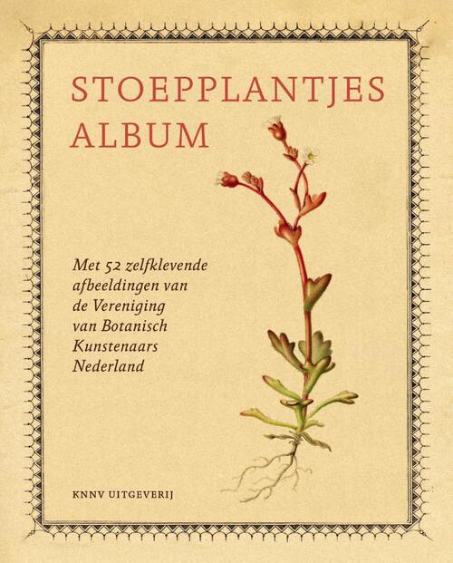 Stoepplantjesalbum -  Hortus Botanicus Leiden (ISBN: 9789050118644)