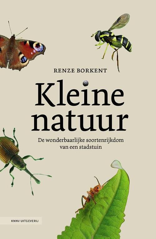 Kleine natuur -  Renze Borkent (ISBN: 9789050119375)