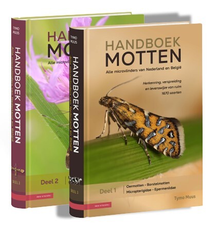 Handboek Motten -  Tymo Muus (ISBN: 9789050119801)