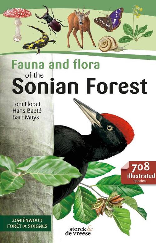 Nieuwe betekenis opwinding Gek Fauna and Flora of the Sonian forest, Hans Baeté | 9789056156862 | Boek -  bruna.nl