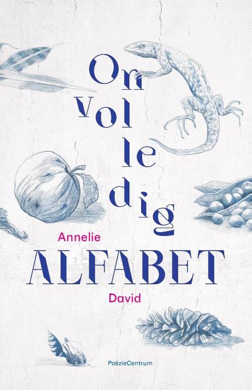 Onvolledig alfabet -  Annelie David (ISBN: 9789056552626)