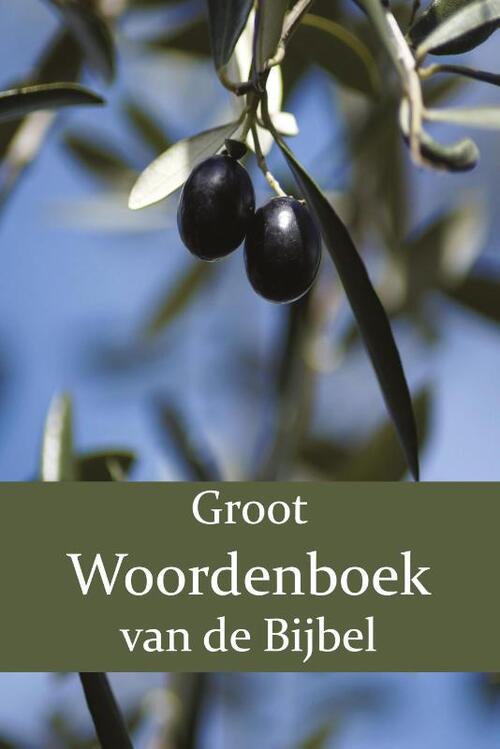 Groot Woordenboek van de Bijbel O-Z -  F.J. Domela Nieuwenhuis, P.J. Veth, W. Moll (ISBN: 9789057195464)