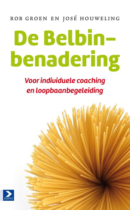 De Belbin-benadering -  José Houweling, Rob Groen (ISBN: 9789058758798)