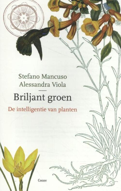 Briljant groen -  Allessandra Viola, Stefano Mancuso (ISBN: 9789059368569)