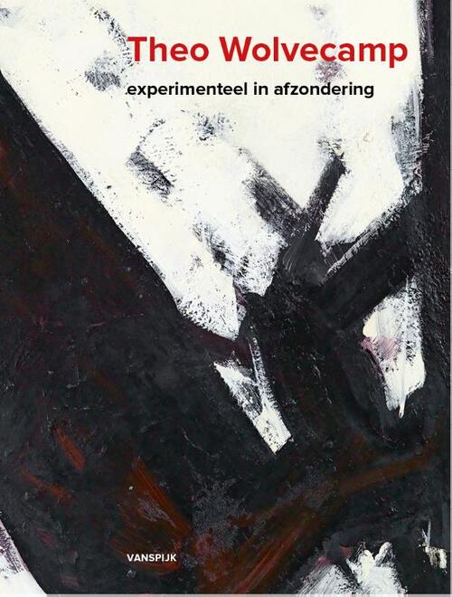 Theo Wolvecamp - Experimenteel in afzondering -  Kees Verbeek, Lex Schrama (ISBN: 9789062168323)