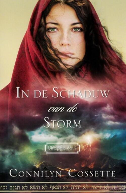 In de schaduw van de storm -  Connilyn Cossette (ISBN: 9789064510649)